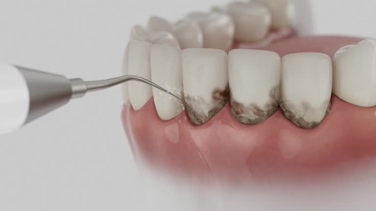 Reliable Dental contractor in Middlesex, NC by Dentist Open Now